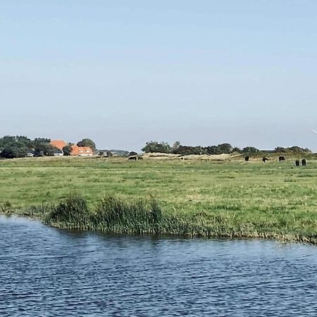 Studio Hazenborgh In Callantsoog Near The Beach Kültér fotó
