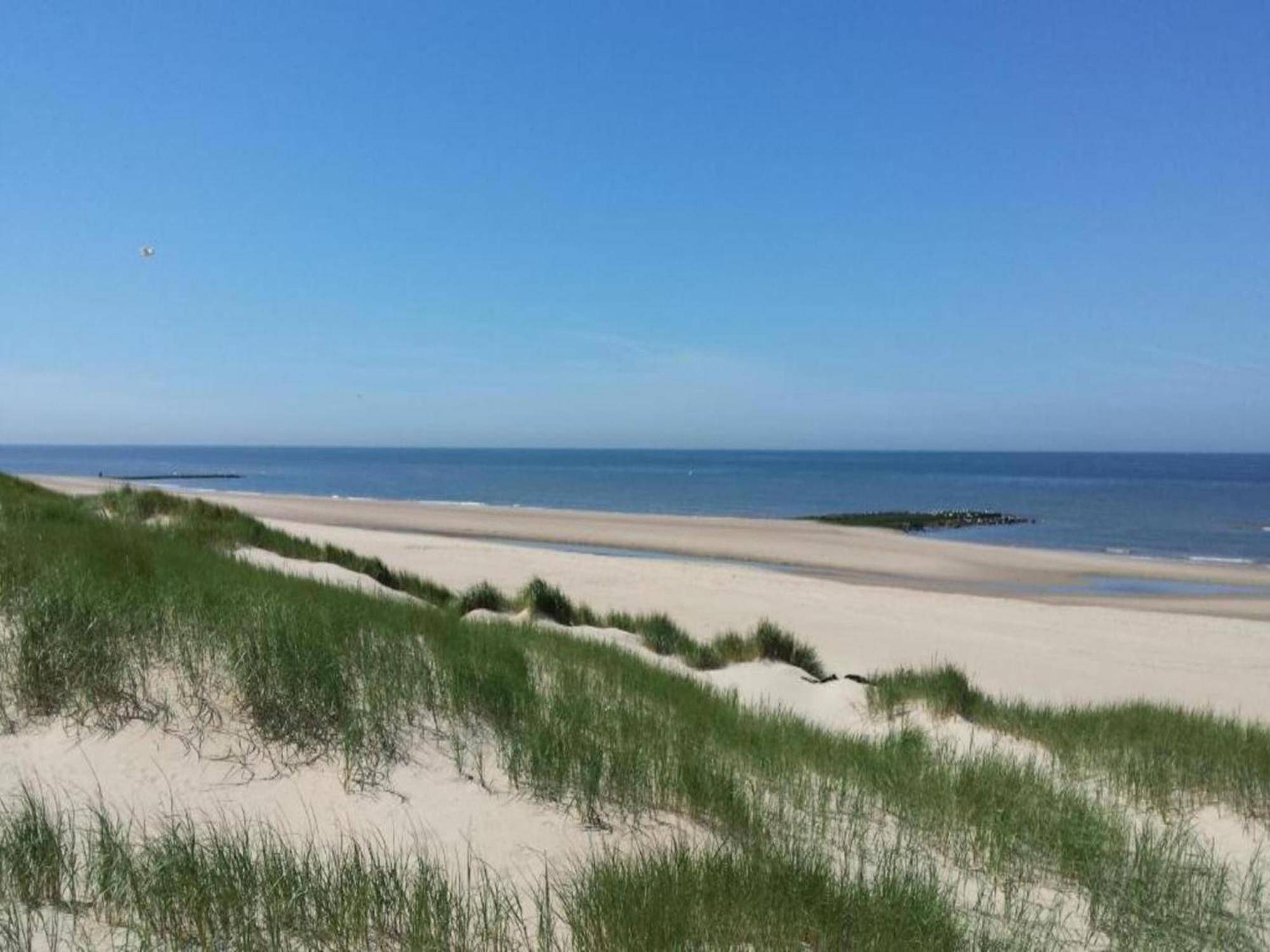 Studio Hazenborgh In Callantsoog Near The Beach Kültér fotó