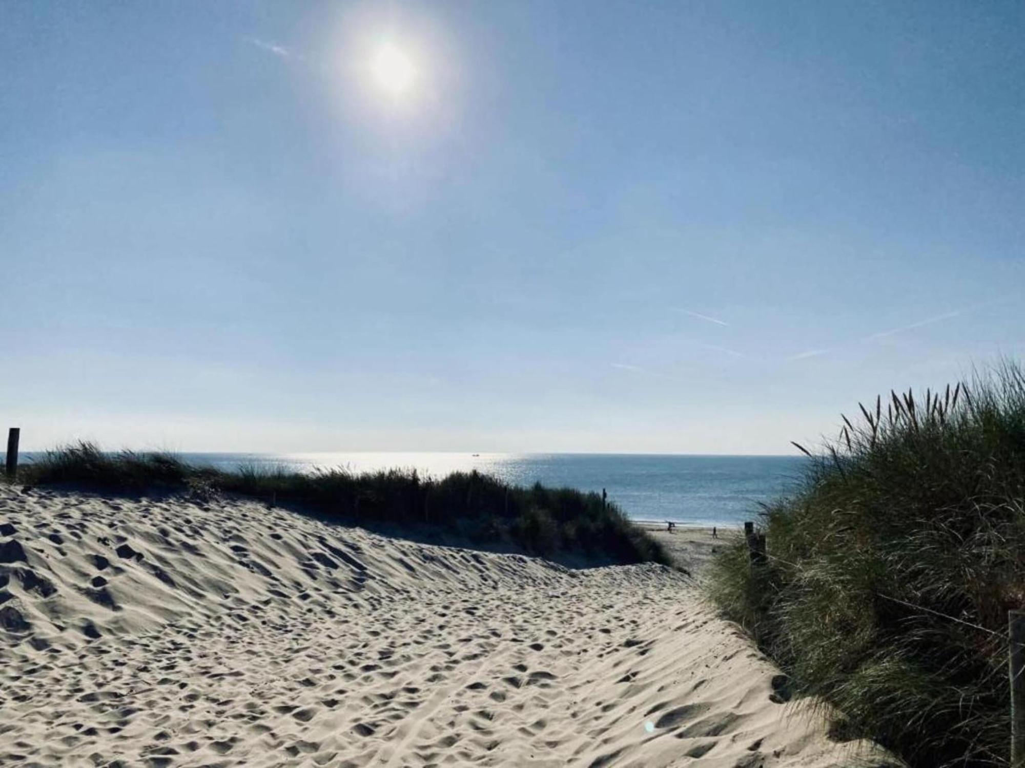 Studio Hazenborgh In Callantsoog Near The Beach Kültér fotó